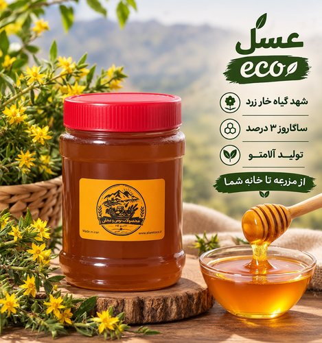 عسل ECO آلامتو با شهد غالب خار زرد از مناطق کوهستانی استان ایلام