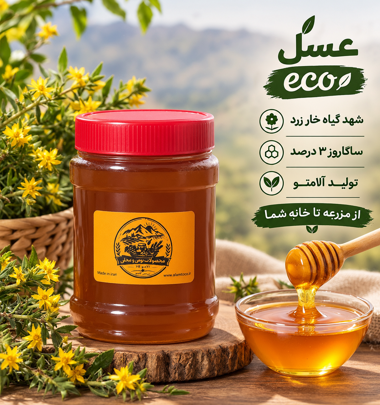 عسل ECO آلامتو با شهد غالب خار زرد از مناطق کوهستانی استان ایلام